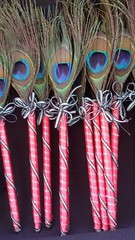 12 Peacock Feather Pen Party,forParty,Sweet16,Bridal S,Mom GIft,Weddin Favors
