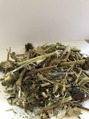 -Echinacea Dried Flowers – Natural, Premium Quality