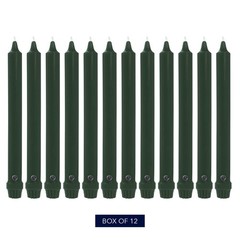 Colonial Candle Unscented Taper Candles, 12 in, Evergreen, Pack of 12