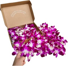 Mii Fresh Orchid Loose Bloom PERISHABLE flowers OrchidClub Sunne