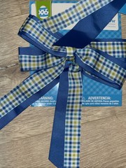 2 Pack Checkered Blue , White & Lime