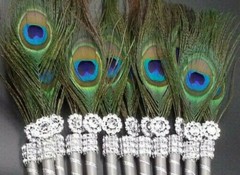 The12 Peacock Feather Pen PartyFAVOR forWeddings,Sweet16, Bridal ,Quinceañera,Bo