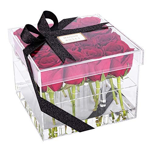 -Clear Tek 7.9 x 7.9 x 5.9 Inch Acrylic Flower Holder, 1 Square Flower 16 holes