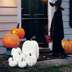 Orange Artificial Pumpkins Set,7Pcs Foam Decor Orange,