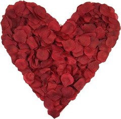 Lifelike Burgundy Silk Rose Petals in Bulk – Ideal for Weddings & Celebrations
