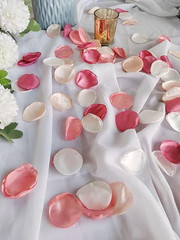Pink Rose Petals,Blush Pink Flower Silk Petals,Scatter Petals for Wedding Aisle