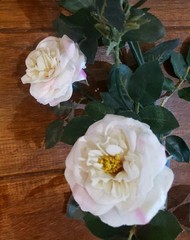 Designer Trellis Ivory/Pale Pink Rose Floral Greenery Garland Wedding Decor 5 Ft