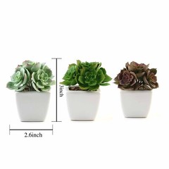 3 Green 5″ Assorted Faux Cute Succulent Echeveria Plants Off White Ceramic Pots