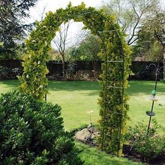 Large Garden Arch Metal Archway Gate Rose Vine Plants Climbing Trellis Rustproof