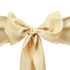 10 Champagne Polyester CHAIR SASHES Ties Bows Wedding Party Ceremony Decorations