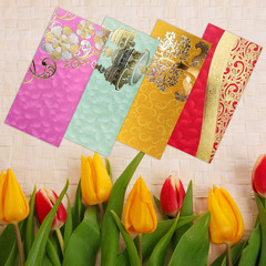 Shagun Gift Envelope (Pack of 10) Assorted Color Designs Money Holder Fancy Pack