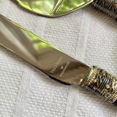 Vera Wang by Wedgwood «With Love» Black Cake Knife & Server Great Wedding Gift