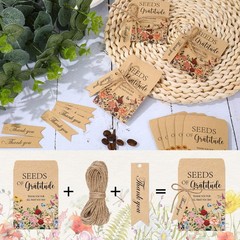 JarThenaAMCS 50 Sets Spring Wildflower Seeds of 3.1 x 2.4 inch, Multicolor
