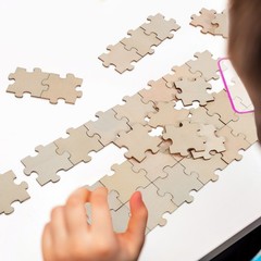 100 Pcs Unfinished Wood Puzzle Pieces Blank for Painting Crafts