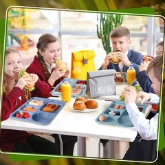 Pinkunn 12 Pcs 14 Large Divided Plates Unbreakable Wheat Straw Lunch Trays 6