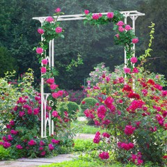 Metal Wedding Ceremony Arch Climbing Planting Garden Patio Greenhouse Dec. Arbor