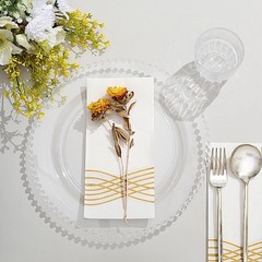 CLEAR 10 Round 10″ Plastic Salad PLATES Beaded Rim Party Events Decorations