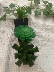 Cute Set~ 3 Assorted 3,4, 5” Faux Small Succulent Plants Pots Wedding Home Decor