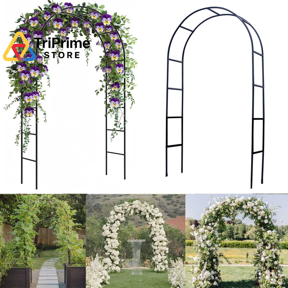 Garden Arch Trellis for Climbing Plants Outdoor – 4.6 * Without base, Black