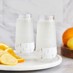 Host Freeze Insulated Champagne Glasses, Gifts for Mom, Home Bar Gifts for Wo…