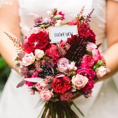 100 Pack Premium Place Cards with Gold Foil Border for Wedding Table Setting