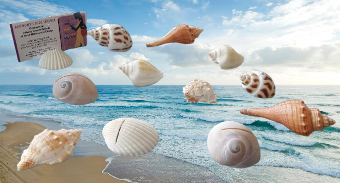 Kate Aspen Genuine Sea Shell Place Card Holders – Set of 12!