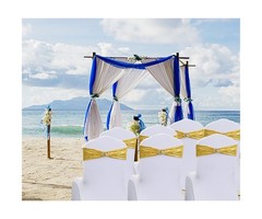 100 Pack Sequin Gold Chair Sashes for Wedding Decor, Glitter Chair Sash Bows …
