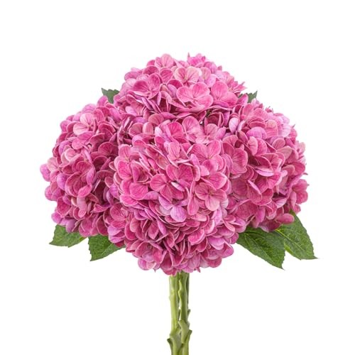 4 Pcs Artificial Hydrangea Silk Flowers with Stems, 19.7″ Faux Rose Pink