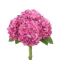 4 Pcs Artificial Hydrangea Silk Flowers with Stems, 19.7″ Faux Rose Pink