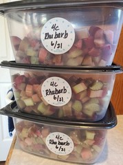 Dissolvable Food Labels for Canning, Pantry, 2 Inch Round, Teal Round