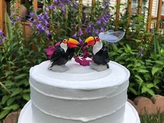 Toucan Cake Top Bride Groom Love Bird Wedding Engage Wood Statue Tropical