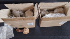 24 New in Box Western Wedding Place Card Holders, 2 boxes (12 in each) Hat, Boot