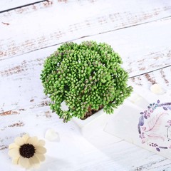 Set of 3 6″ tall Assorted Faux Sedum Succulent Plants with Off White Pots SALE