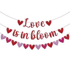 3 Pack Glittery Heart Garland Banner Pre-Strung Heart Bunting Valentines Day