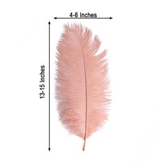 12 pcs 13-15″ long Mauve Genuine Ostrich FEATHERS Wedding Party Centerpieces