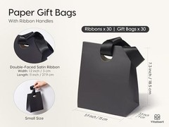 Paper Gift Bags With Ribbon Handles Set of 10 Small Size/10pcs 10 Mixed Colors