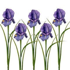 DILATATA Iris Flowers Artificial 5 Pcs Real Touch Long Stems Purple