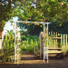 Wide Garden Arch Metal Archway Gate Rose Vine Plants Climbing Trellis Heavy Duty