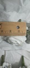 10″ Wide Bridal Bush Bouquet & 14 Corsages – 3 Double Rose Wrist 11 Chest – NEW