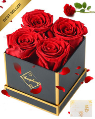 Changshunqi Forever Flowers, Preserved Roses in a Box, Eternal Rose Red