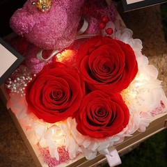 Preserved Eternal Rose With «I Love You» in 100 Languages Necklace
