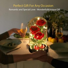 Valentines Day Gifts for Her,Beauty and The Beast Rose in Glass Classic Red