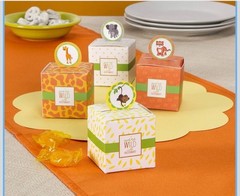 Darice baby favorites «Born to Be Wild» favor boxes 24 Pc 2.125 Inc