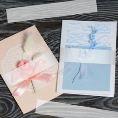 200Pcs Invitation Belly Bands, Clear Vellum 31x4cm/12.2×1.57in, 200pcs