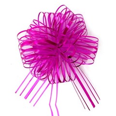 Allgala 12-pc 6 Inch Large Everyday Pull Bows