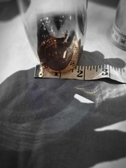 2 Rose Gold Metallic Glass Champagne Flutes Stemless