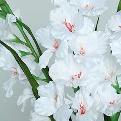 3 pcs 36″ SILK ARTIFICIAL GLADIOLUS FLOWER Spray Stems Wedding Party Supplies