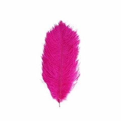 12 pcs 13-15″ long Fuchsia Genuine Ostrich FEATHERS Wedding Party Centerpieces