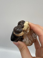 Vintage 1950s Chalkware Wedding Cake Topper Black Brown Hair Off white Dress