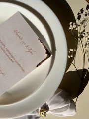 wedding invitation cards (25 piece)